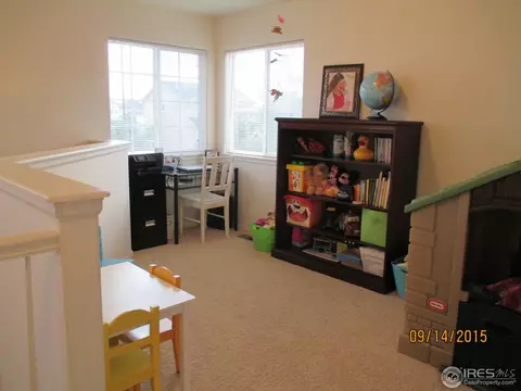 9822 Buffalo St, Firestone, CO 80504 photo 14