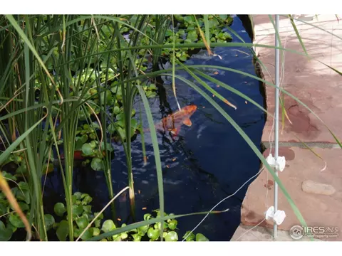 926 Rain Lilly Ln, Boulder, CO 80304 photo 23