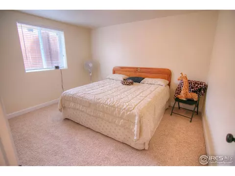 730 Lilac Dr, Windsor, CO 80550 photo 15