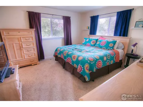 730 Lilac Dr, Windsor, CO 80550 photo 10