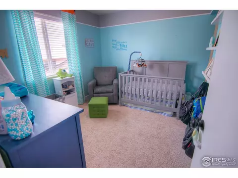 730 Lilac Dr, Windsor, CO 80550 photo 12