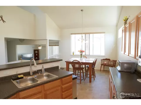 5779 Mountain Shadows Blvd, Firestone, CO 80504 photo 5