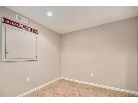 7076 Leopard Gate, Lone Tree, CO 80124 photo 27