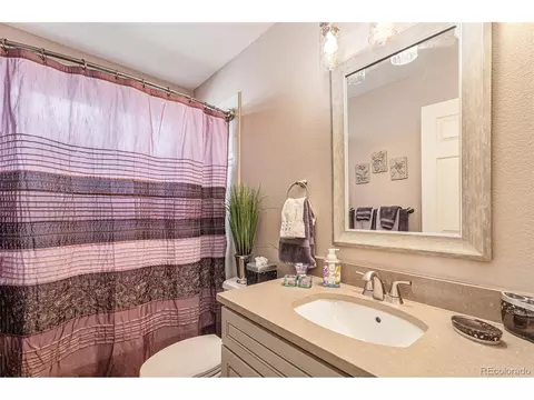 7076 Leopard Gate, Lone Tree, CO 80124 photo 22