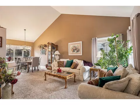7076 Leopard Gate, Lone Tree, CO 80124 photo 9