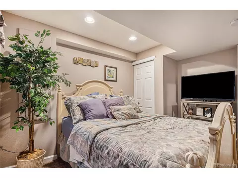 7076 Leopard Gate, Lone Tree, CO 80124 photo 26