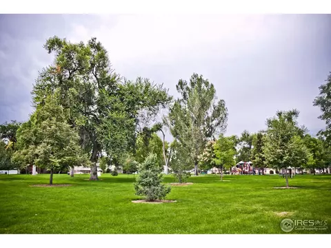 305 Locust St, Windsor, CO 80550 photo 22
