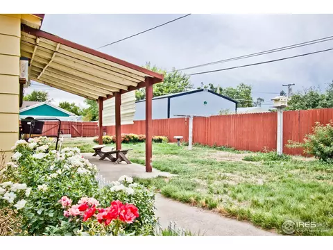 305 Locust St, Windsor, CO 80550 photo 15