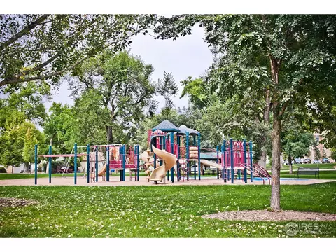 305 Locust St, Windsor, CO 80550 photo 23