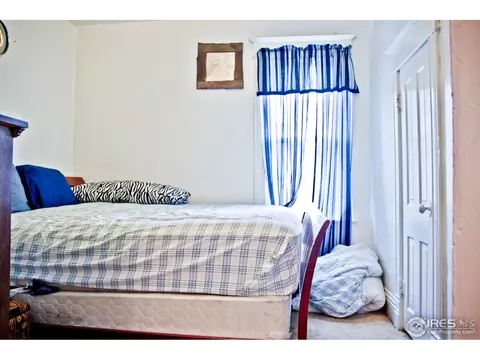 305 Locust St, Windsor, CO 80550 photo 5