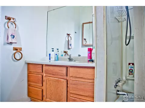 305 Locust St, Windsor, CO 80550 photo 12