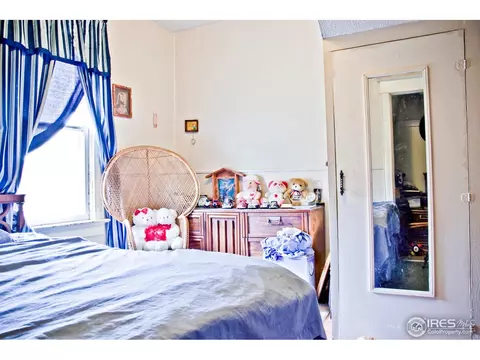 305 Locust St, Windsor, CO 80550 photo 7