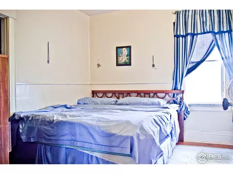 305 Locust St, Windsor, CO 80550 photo 6