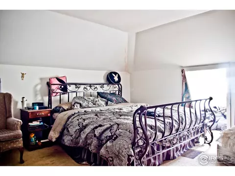 305 Locust St, Windsor, CO 80550 photo 14