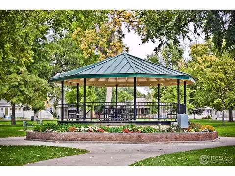 305 Locust St, Windsor, CO 80550 photo 21