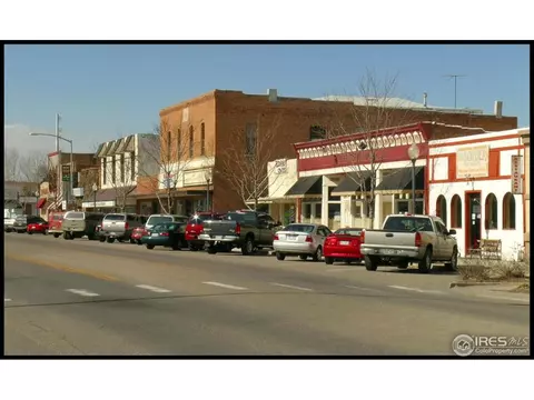 305 Locust St, Windsor, CO 80550 photo 25