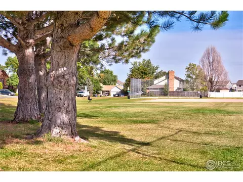 19374 E Adak Pl, Denver, CO 80249 photo 19