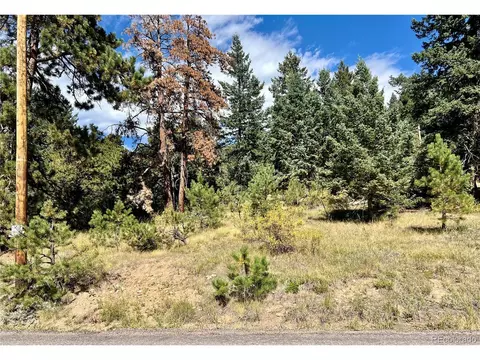 25965 Stansbery St, Conifer, CO 80433 photo 8