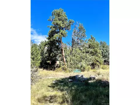 25965 Stansbery St, Conifer, CO 80433 photo 5