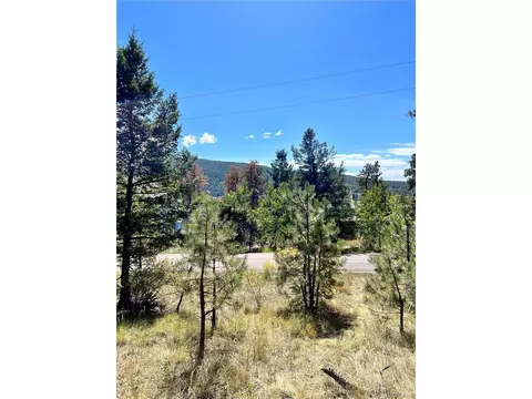 25965 Stansbery St, Conifer, CO 80433 photo 7