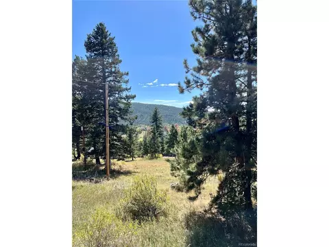 25965 Stansbery St, Conifer, CO 80433 photo 13