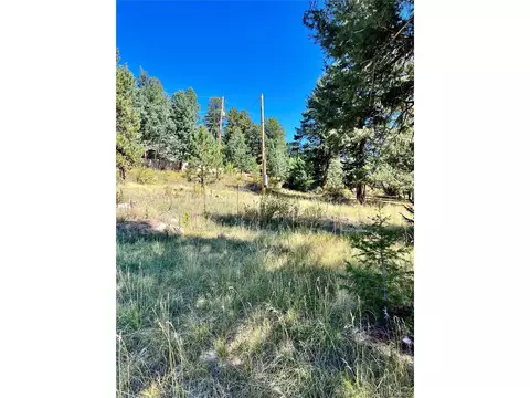 25965 Stansbery St, Conifer, CO 80433 photo 6
