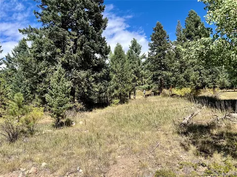 25965 Stansbery St, Conifer, CO 80433 photo 9