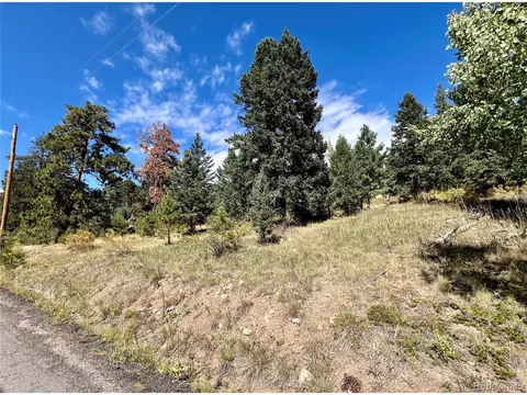25965 Stansbery St, Conifer, CO 80433 photo 19