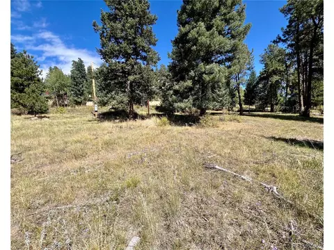 25965 Stansbery St, Conifer, CO 80433 photo 17