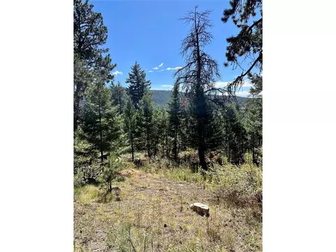 25965 Stansbery St, Conifer, CO 80433 photo 12