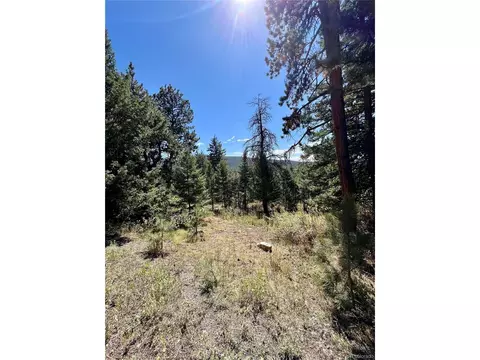 25965 Stansbery St, Conifer, CO 80433 photo 11