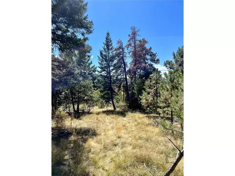 25965 Stansbery St, Conifer, CO 80433 photo 4