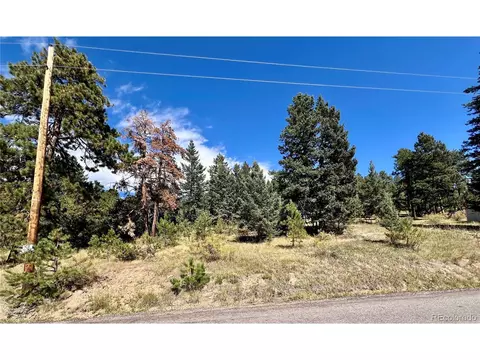 25965 Stansbery St, Conifer, CO 80433 photo 18