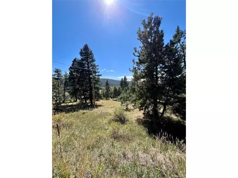 25965 Stansbery St, Conifer, CO 80433 photo 10