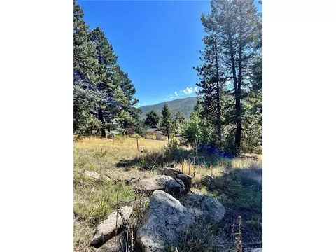 25965 Stansbery St, Conifer, CO 80433 photo 3