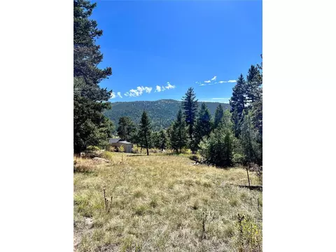 25965 Stansbery St, Conifer, CO 80433