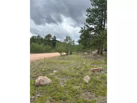 Undisclosed, Florissant, CO 80816