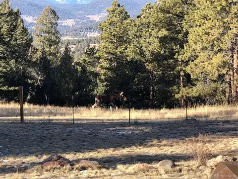 Undisclosed, Pine, CO 80470 photo 25