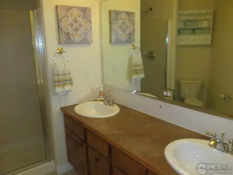 1213 Crescent Dr, Windsor, CO 80550 photo 18