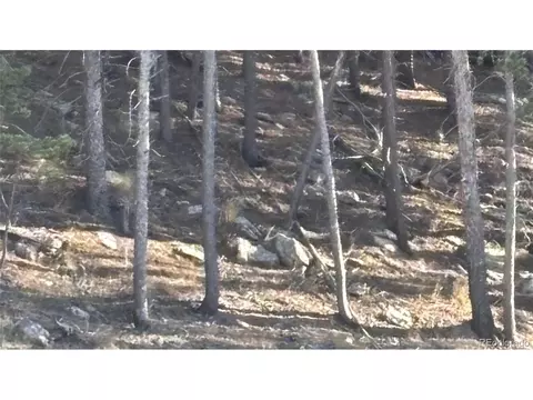 1 Miners Rd, Black Hawk, CO 80422