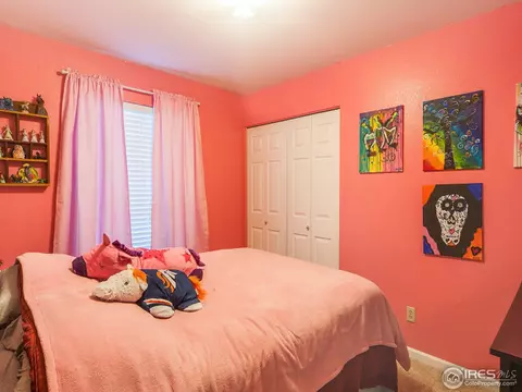 306 Grant St, Frederick, CO 80530 photo 18