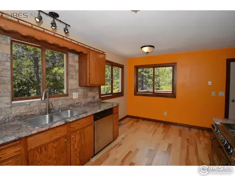 177 Tilghman Rd, Ward, CO 80481 photo 5