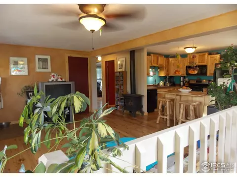 342 Seward St, Lyons, CO 80540 photo 20