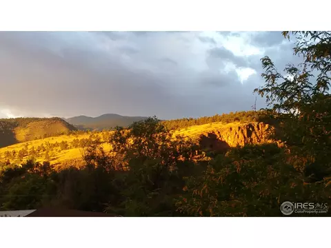 342 Seward St, Lyons, CO 80540 photo 14