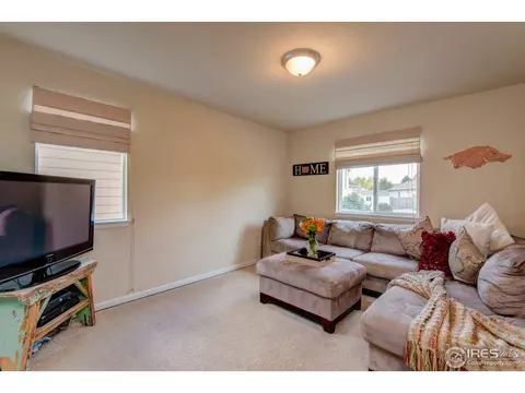 3564 E 140th Pl, Thornton, CO 80602 photo 14