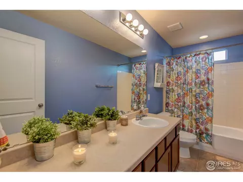 3564 E 140th Pl, Thornton, CO 80602 photo 16