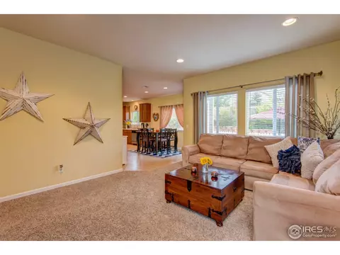 3564 E 140th Pl, Thornton, CO 80602 photo 3