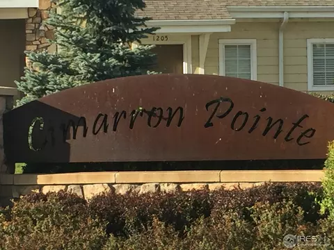 10818 Cimarron St #1001, Firestone, CO 80504 photo 2