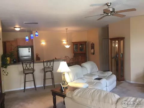 10818 Cimarron St #1001, Firestone, CO 80504 photo 11