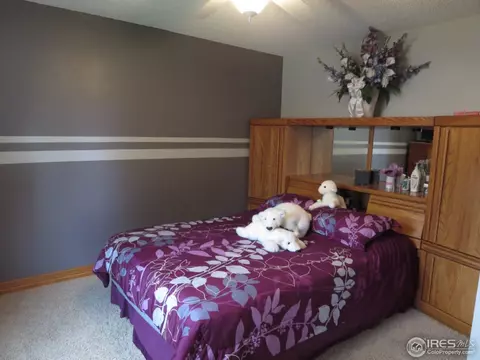 1001 Larch Dr, Windsor, CO 80550 photo 6